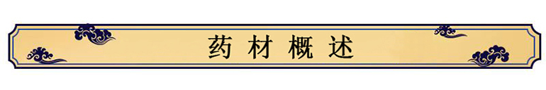 中藥材種植技術——小茴香