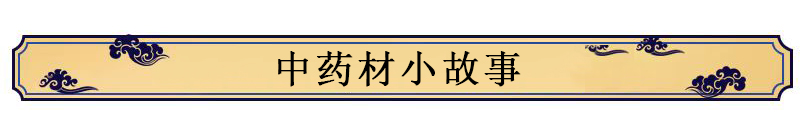 【石斛】